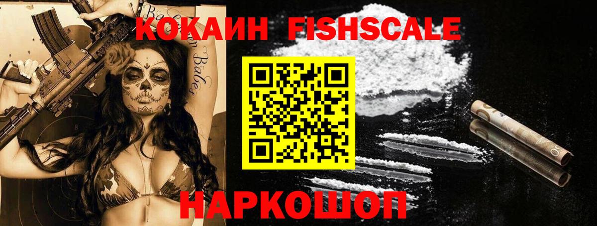 Строитель  COCAIN Fish Scale  Вход с VPN  КОКАИН Columbia 