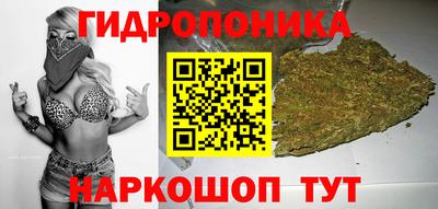 СК Обнинск