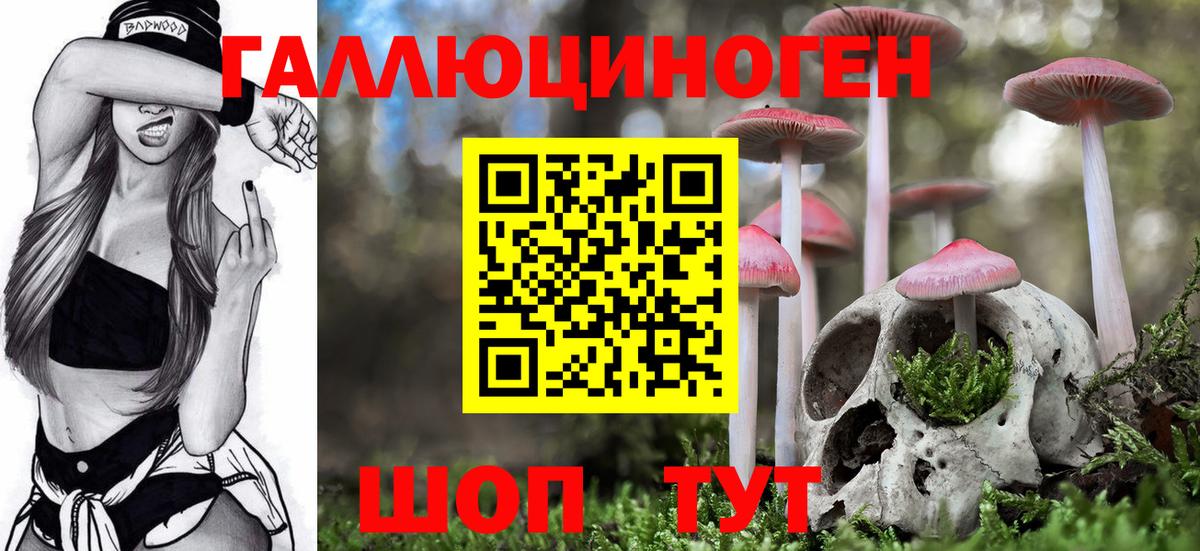 Строитель  Псилоцибиновые грибы MAGIC MUSHROOMS  Вход с VPN 
