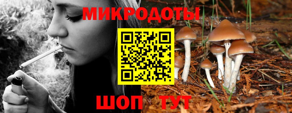 Псилоцибиновые грибы мицелий Строитель